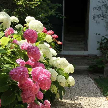 Ombre Rose Bed & Breakfast