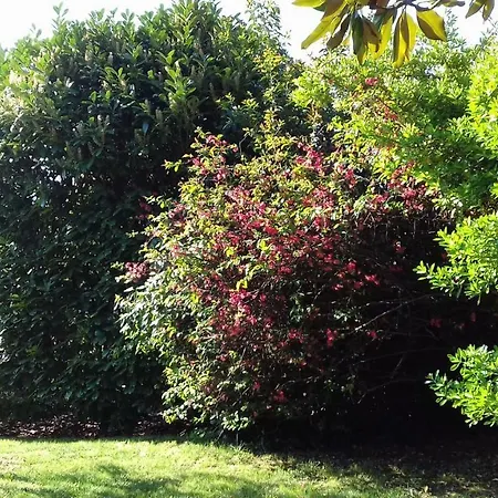 Ombre Rose 3* Le Fousseret