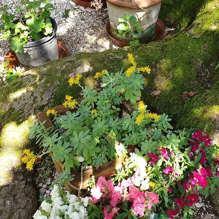 Ombre Rose Le Fousseret