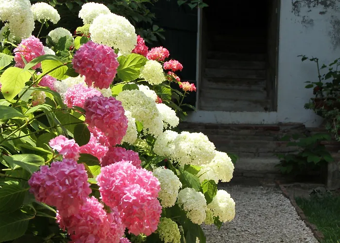 Ombre Rose Frühstückspension