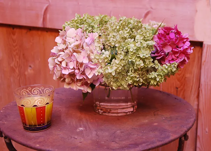 Ombre Rose Frühstückspension Le Fousseret