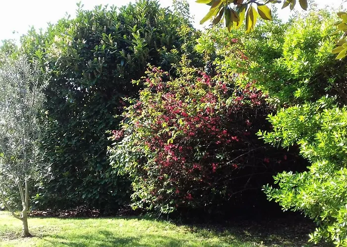 Ombre Rose 3* Le Fousseret