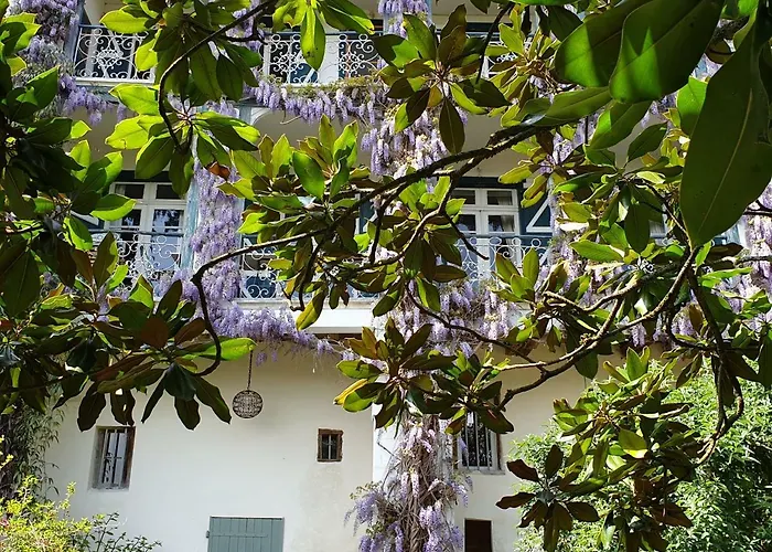 Frühstückspension Ombre Rose