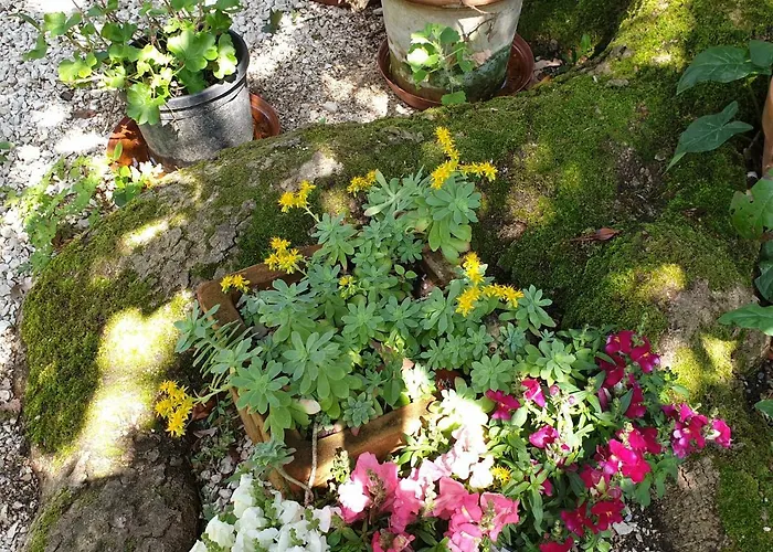 Ombre Rose Le Fousseret