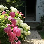 Ombre Rose Bed and breakfast