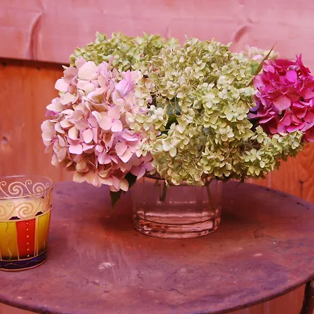 Ombre Rose Bed and breakfast Le Fousseret