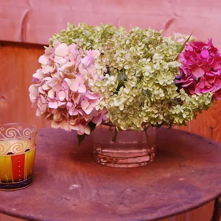 Bed & Breakfast Ombre Rose