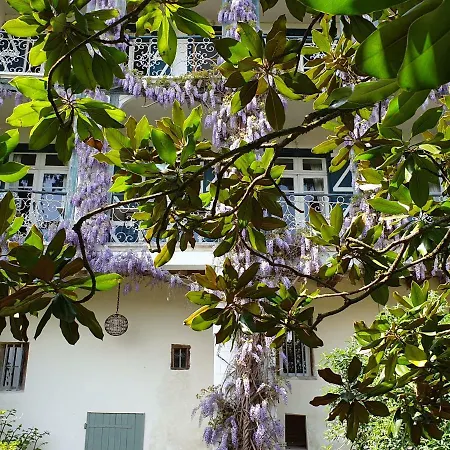 Bed and breakfast Ombre Rose