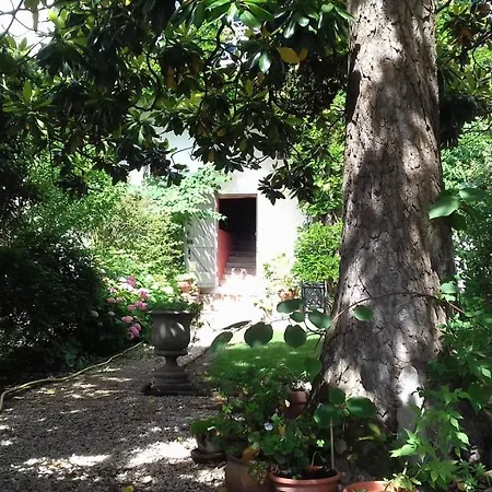 Bed & Breakfast Ombre Rose 3*
