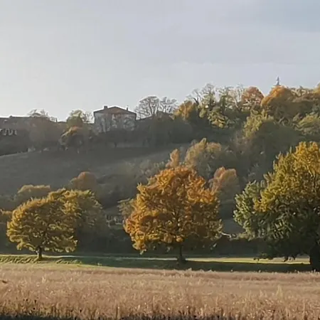 Ombre Rose Bed and breakfast Le Fousseret